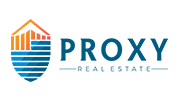 3proxy