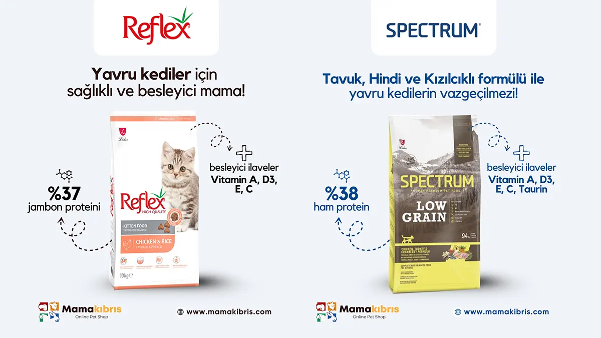 Kıbrıs sosyal medya yönetimi ajansı stratejik dijital pazarlama çalışması