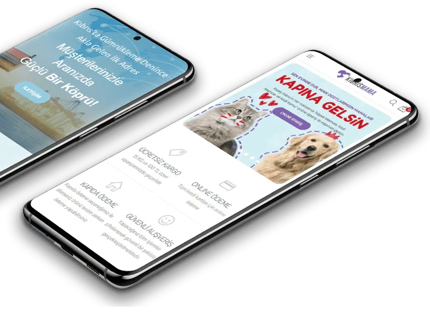 Kıbrıs Web Tasarım, Mağusa Web Tasarım, Lefkoşa Web Tasarım